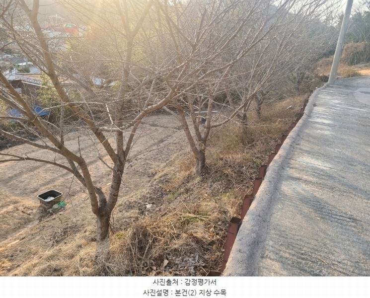 2024타경120721 울산광역시 중구 약사동 154 농지 경매 이미지