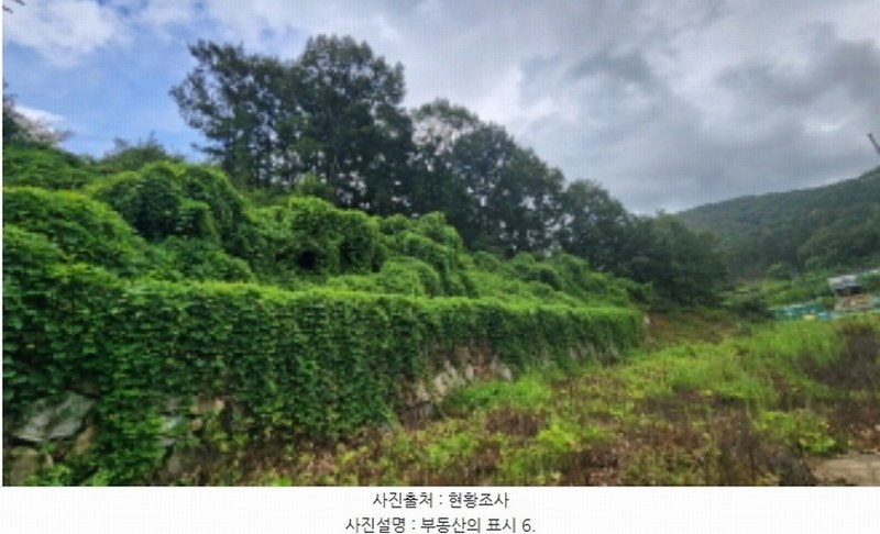 2024타경6702 경상남도 양산시 상북면 대석리 95-6 임야 경매 이미지