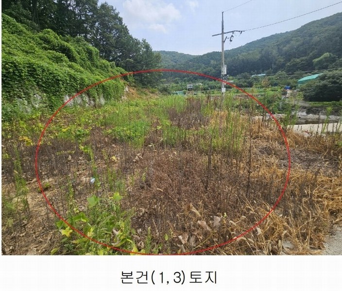 2024타경6702 경상남도 양산시 상북면 대석리 95-6 임야 경매 이미지