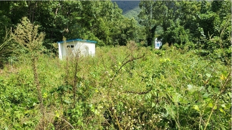 2024타경7781 울산광역시 울주군 상북면 궁근정리 12 농지 경매 이미지