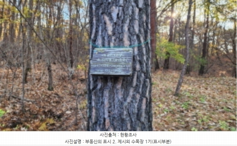 2024타경9510 울산광역시 울주군 상북면 덕현리 산158 임야 경매 이미지