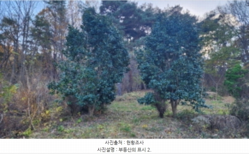 2024타경9510 울산광역시 울주군 상북면 덕현리 산158 임야 경매 이미지