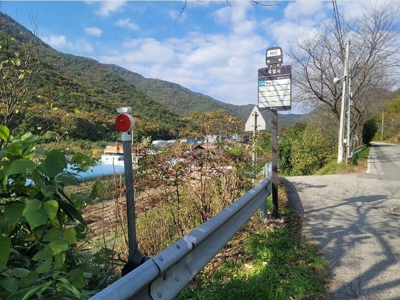 2024타경118124 경상남도 양산시 원동면 용당리 산217-2 임야 경매 이미지