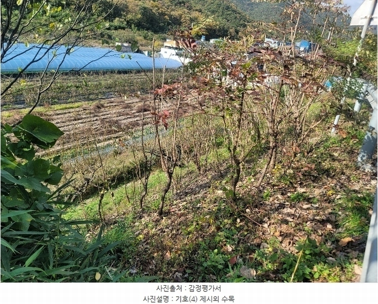 2024타경118124 경상남도 양산시 원동면 용당리 산217-2 임야 경매 이미지