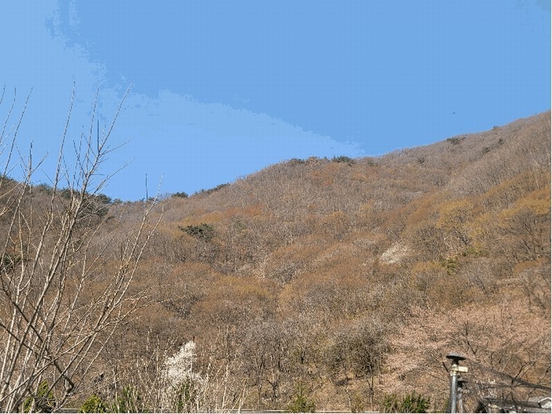 2025타경994 경상남도 양산시 원동면 선리 839 농지 경매 이미지