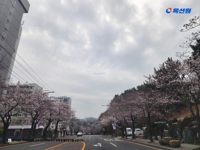 2025타경11279 울산광역시 동구 봉수로 170, 금강아파트 제201동 10층 1005호 아파트[공급22평형] 경매 이미지