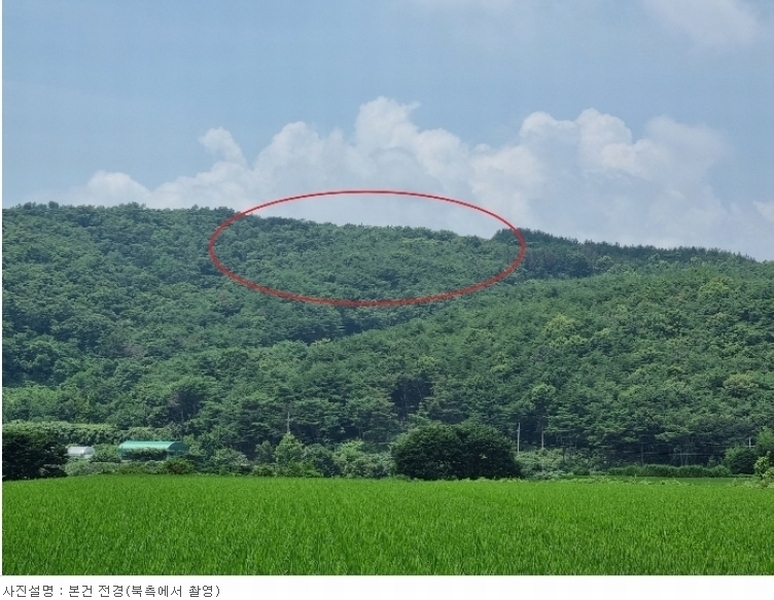 2023타경6231 울산광역시 울주군 언양읍 다개리 산136-12 임야 경매 이미지