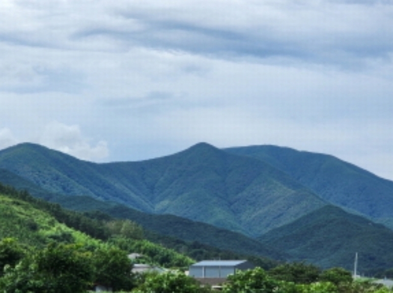 2023타경6231 울산광역시 울주군 언양읍 다개리 산136-12 임야 경매 이미지