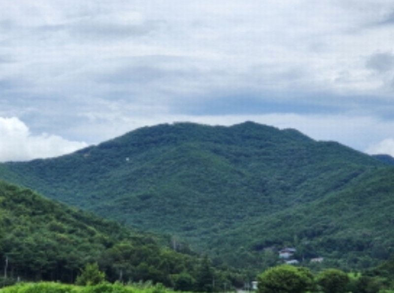 2023타경6231 울산광역시 울주군 언양읍 다개리 산136-12 임야 경매 이미지