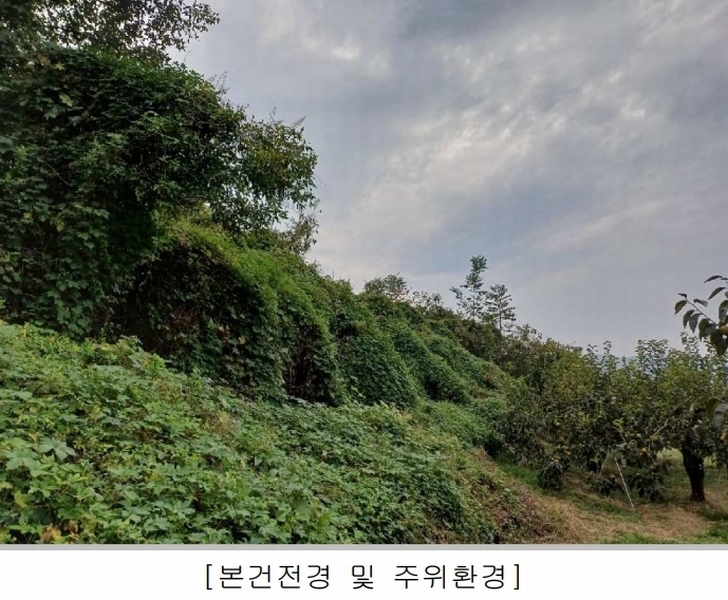2024타경6355 경상남도 창원시 의창구 동읍 노연리 45 농지 경매 이미지