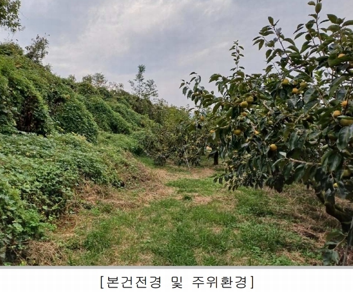 2024타경6355 경상남도 창원시 의창구 동읍 노연리 45 농지 경매 이미지