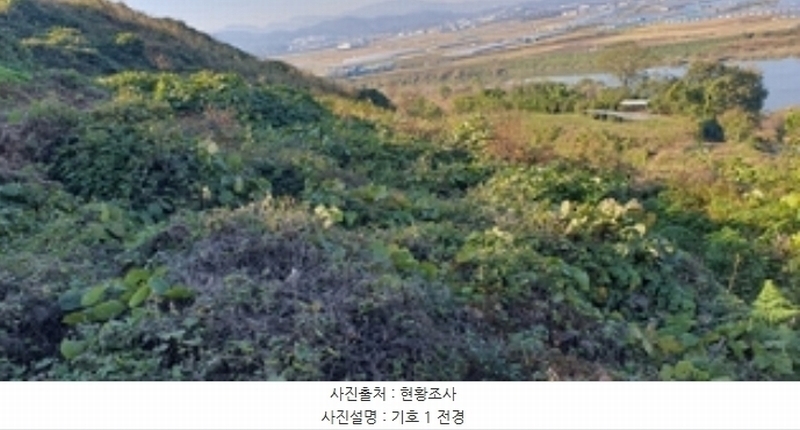 2024타경7068 경상남도 김해시 한림면 금곡리 산35-4 임야 경매 이미지