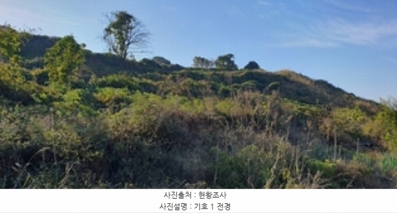 2024타경7068 경상남도 김해시 한림면 금곡리 산35-4 임야 경매 이미지
