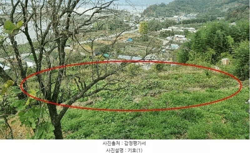 2024타경7068 경상남도 김해시 한림면 금곡리 산35-4 임야 경매 이미지