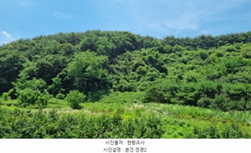 2024타경107876 경상남도 창원시 의창구 북면 내곡리 산270 임야 경매 이미지