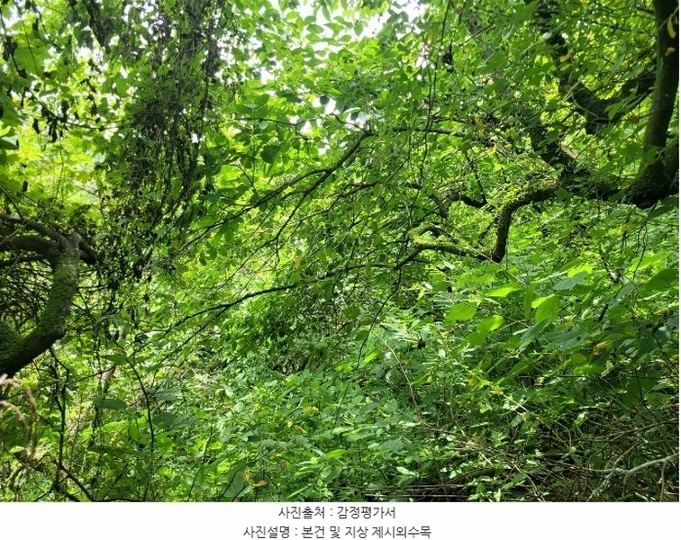 2024타경107876 경상남도 창원시 의창구 북면 내곡리 산270 임야 경매 이미지