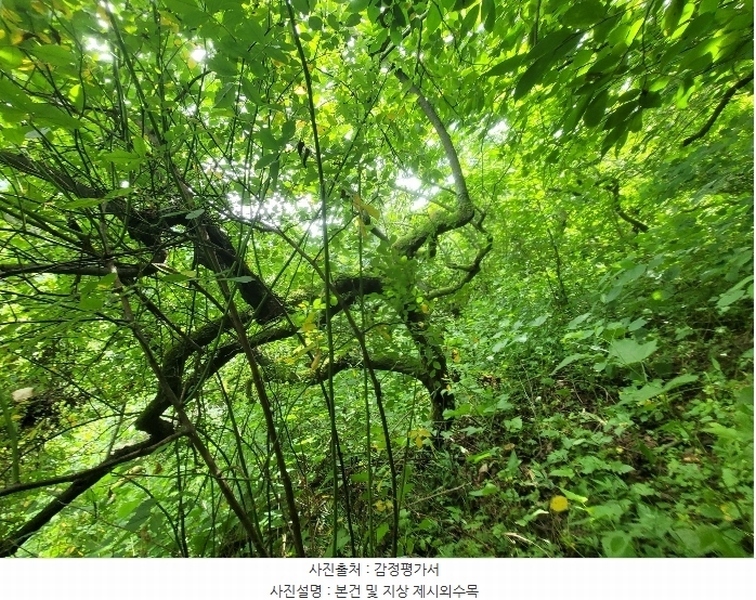 2024타경107876 경상남도 창원시 의창구 북면 내곡리 산270 임야 경매 이미지