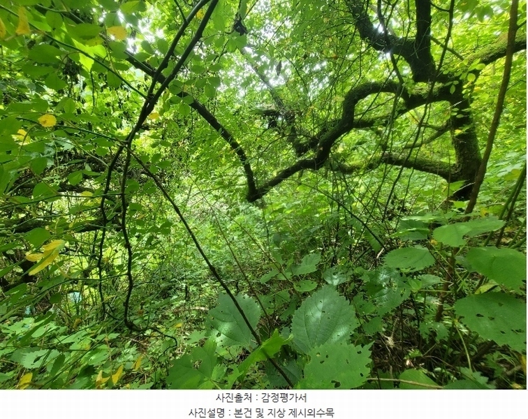 2024타경107876 경상남도 창원시 의창구 북면 내곡리 산270 임야 경매 이미지