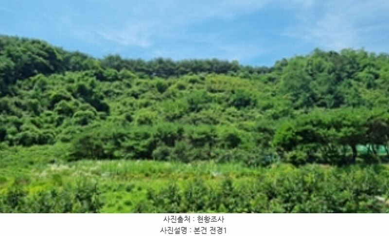 2024타경107876 경상남도 창원시 의창구 북면 내곡리 산270 임야 경매 이미지
