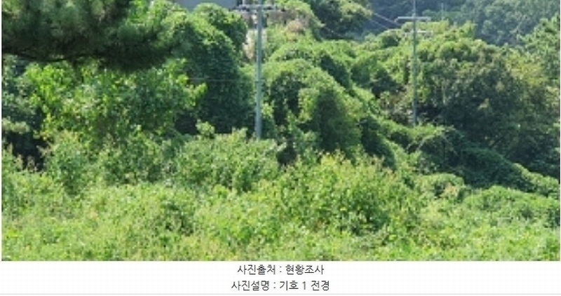2024타경111660 경상남도 김해시 상동면 매리 542-1 임야 경매 이미지