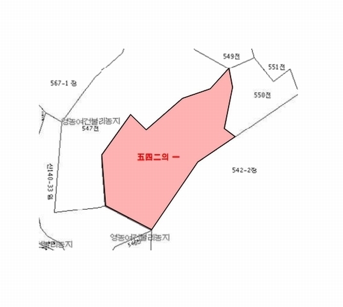 2024타경111660 경상남도 김해시 상동면 매리 542-1 임야 경매 이미지