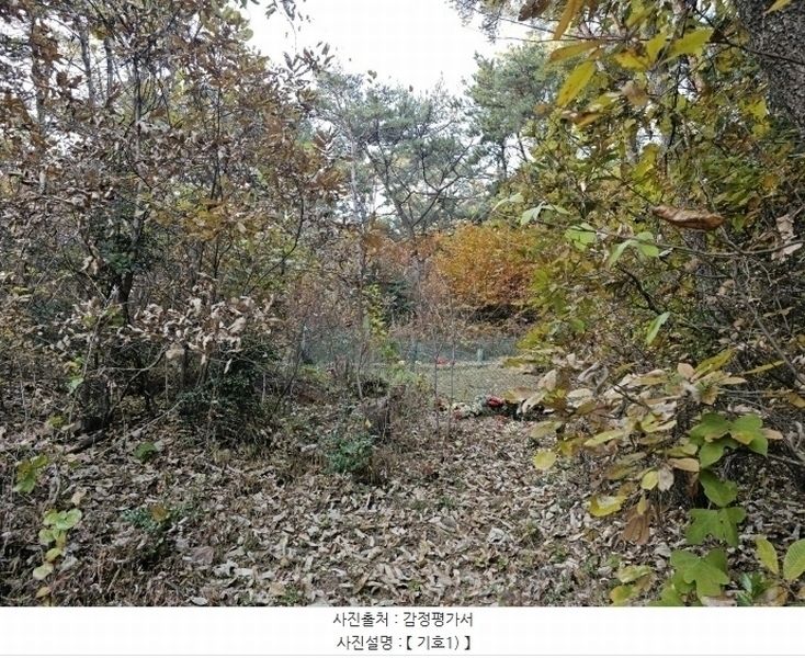 2024타경116054 경상남도 창원시 진해구 두동 산27 임야 경매 이미지