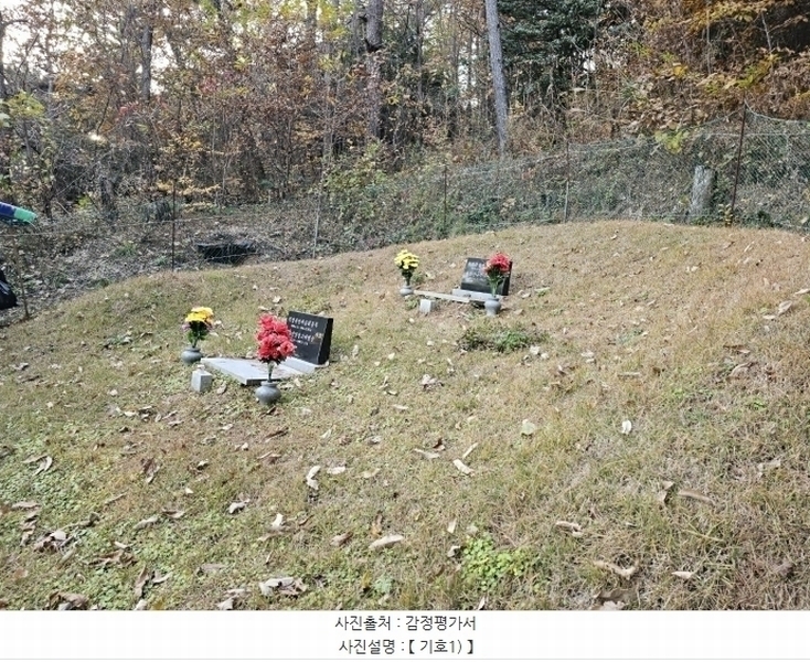 2024타경116054 경상남도 창원시 진해구 두동 산27 임야 경매 이미지