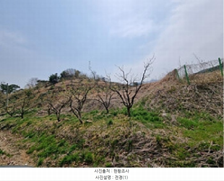2025타경11258 경상남도 창원시 의창구 동읍 금산리 65 임야 경매 이미지