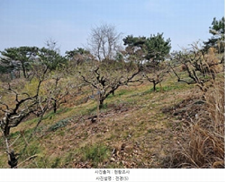 2025타경11258 경상남도 창원시 의창구 동읍 금산리 65 임야 경매 이미지