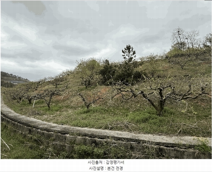 2025타경11258 경상남도 창원시 의창구 동읍 금산리 65 임야 경매 이미지
