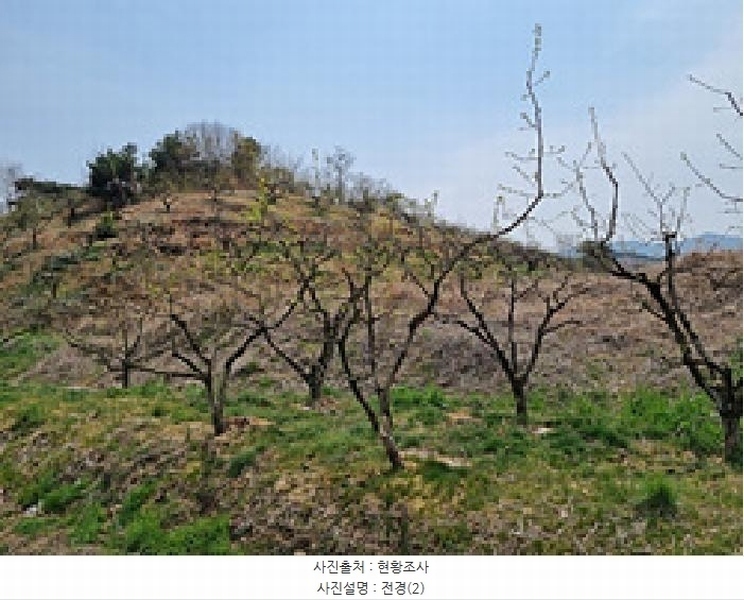 2025타경11258 경상남도 창원시 의창구 동읍 금산리 65 임야 경매 이미지