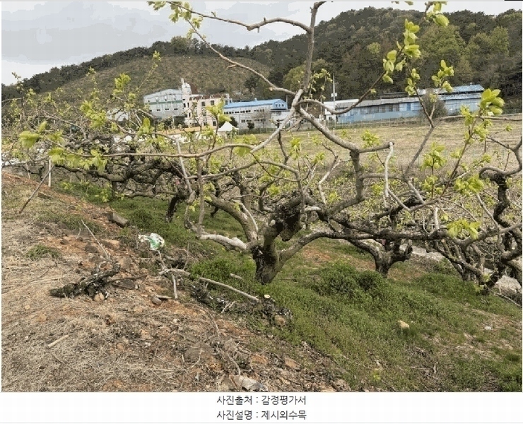 2025타경11258 경상남도 창원시 의창구 동읍 금산리 65 임야 경매 이미지