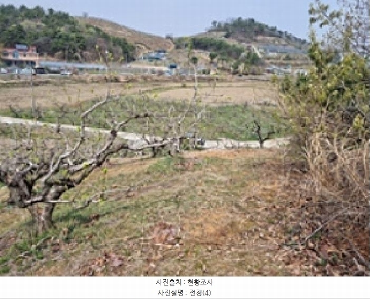 2025타경11258 경상남도 창원시 의창구 동읍 금산리 65 임야 경매 이미지