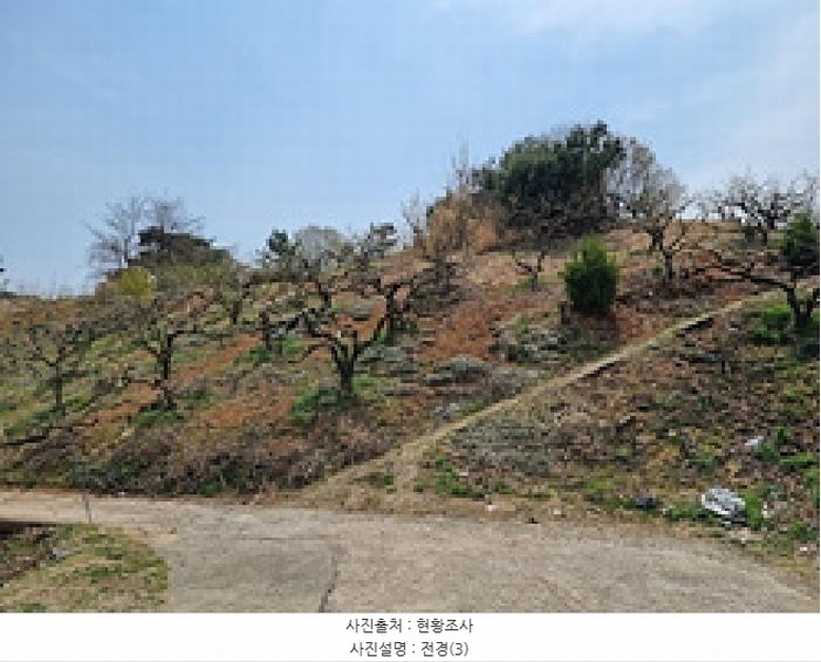 2025타경11258 경상남도 창원시 의창구 동읍 금산리 65 임야 경매 이미지