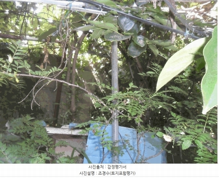 2025타경11329 경상남도 창원시 진해구 경화동 1157-42 주택 경매 이미지