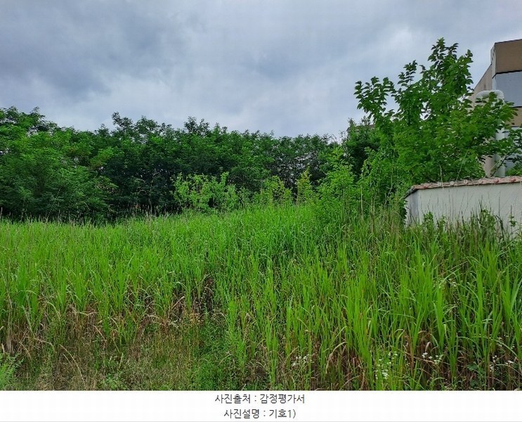 2024타경4076 경상남도 김해시 진영읍 신용리 219-14 농지 경매 이미지