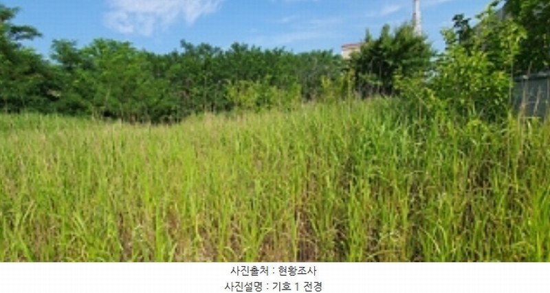 2024타경4076 경상남도 김해시 진영읍 신용리 219-14 농지 경매 이미지