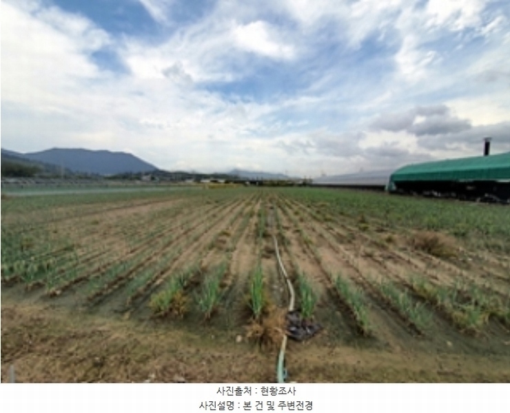 2024타경6461 경상남도 김해시 대동면 조눌리 159-15 농지 경매 이미지