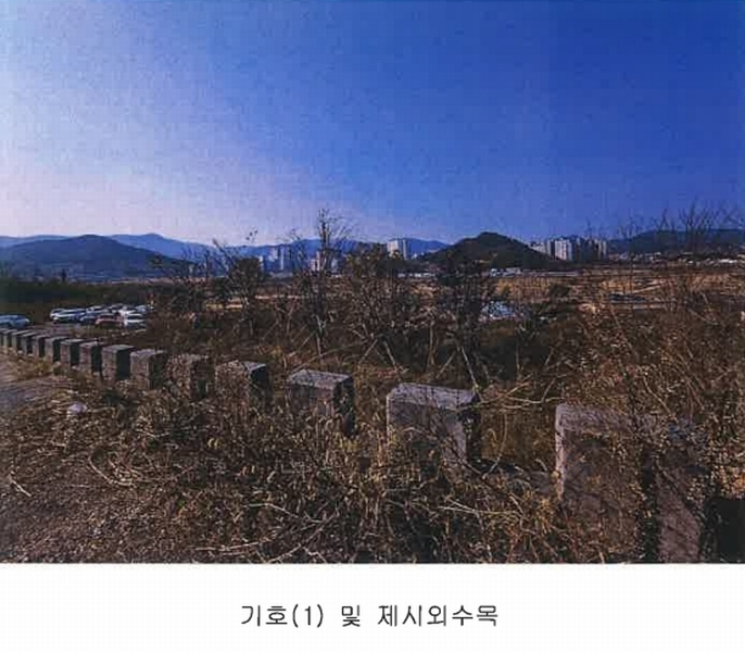 2024타경8085 경상남도 김해시 명법동 800-15 임야 경매 이미지