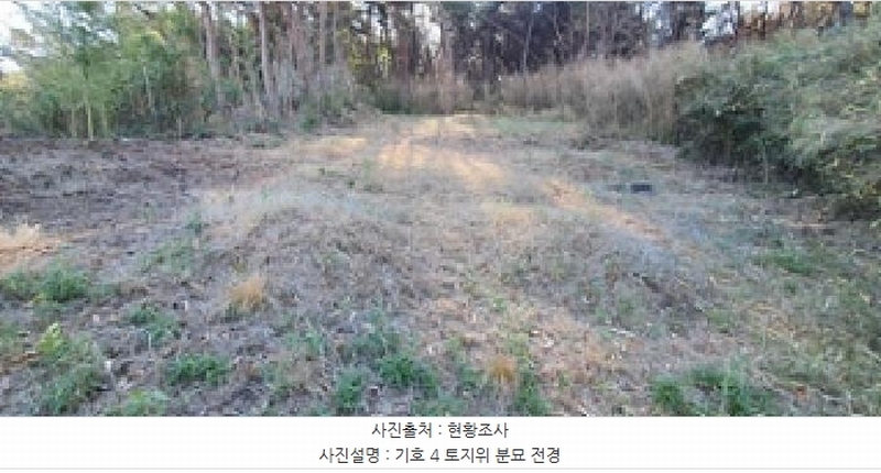 2024타경8085 경상남도 김해시 명법동 800-15 임야 경매 이미지