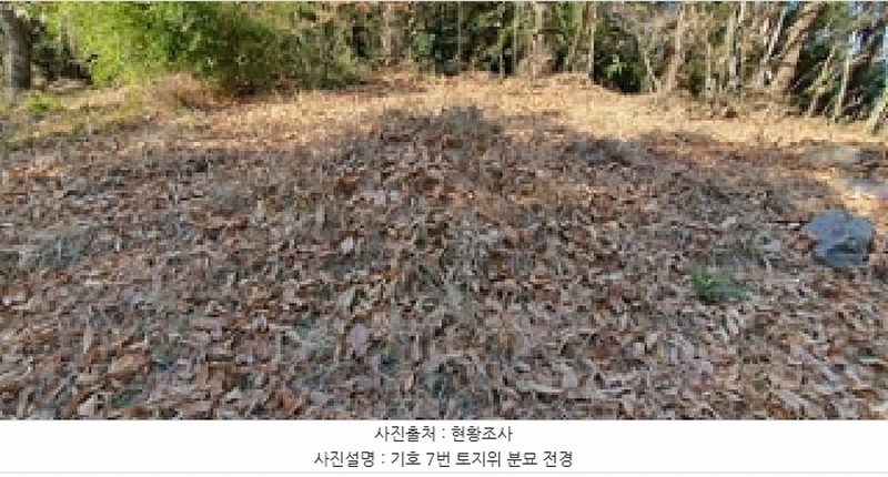 2024타경8085 경상남도 김해시 명법동 800-15 임야 경매 이미지