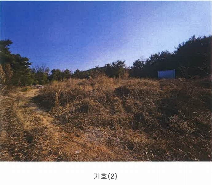 2024타경8085 경상남도 김해시 명법동 800-15 임야 경매 이미지