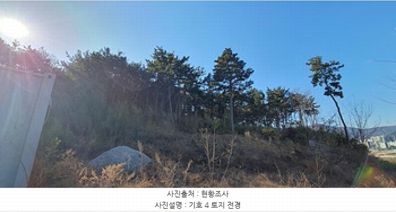 2024타경8085 경상남도 김해시 명법동 800-15 임야 경매 이미지