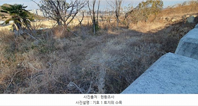 2024타경8085 경상남도 김해시 명법동 800-15 임야 경매 이미지