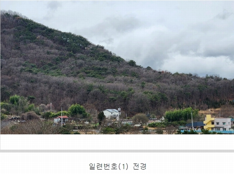 2024타경101946 경상남도 김해시 진례면 고모리 산163-5 임야 경매 이미지
