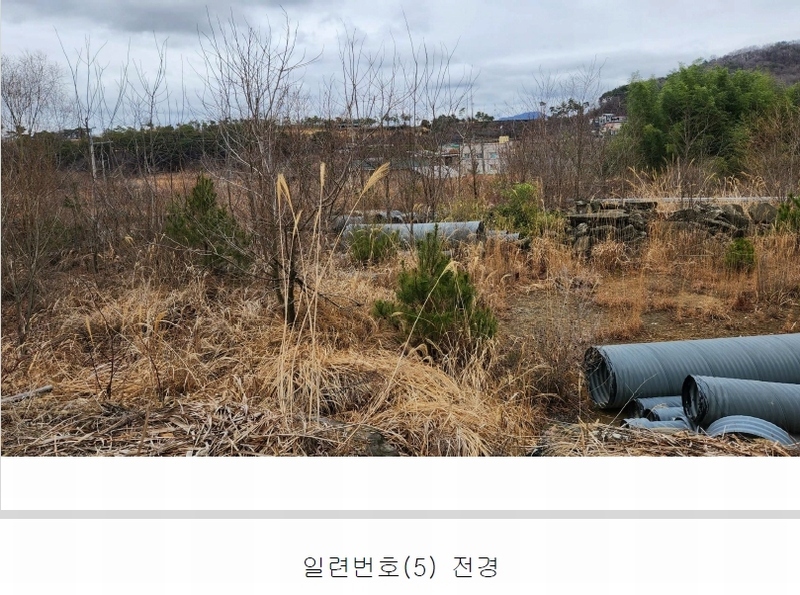 2024타경101946 경상남도 김해시 진례면 고모리 산163-5 임야 경매 이미지