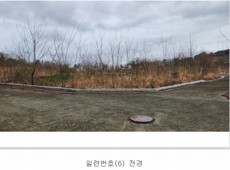2024타경101946 경상남도 김해시 진례면 고모리 산163-5 임야 경매 이미지
