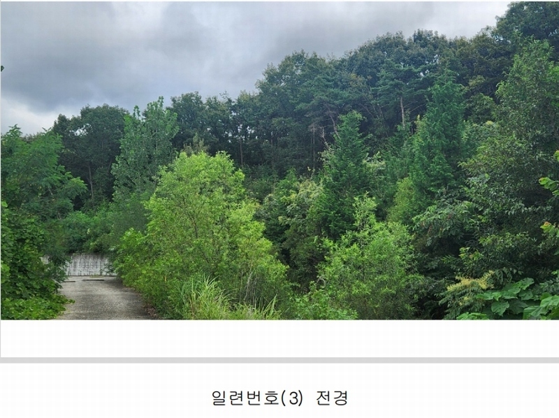 2024타경101946 경상남도 김해시 진례면 고모리 산163-5 임야 경매 이미지