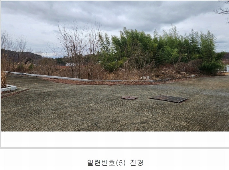 2024타경101946 경상남도 김해시 진례면 고모리 산163-5 임야 경매 이미지