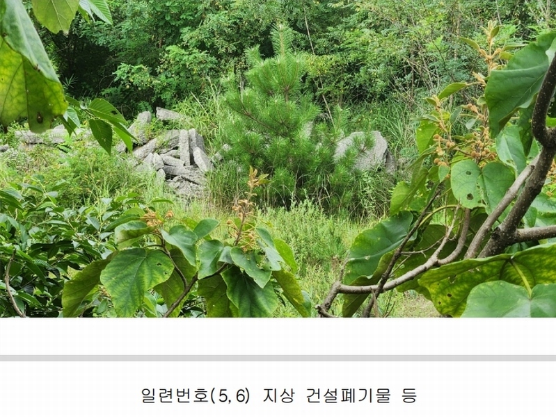 2024타경101946 경상남도 김해시 진례면 고모리 산163-5 임야 경매 이미지